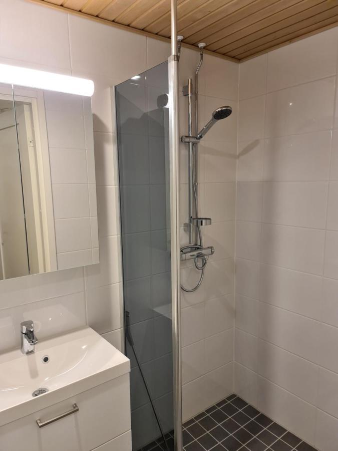 Levillenet Studio Apartment At Levi City Centre Екстер'єр фото