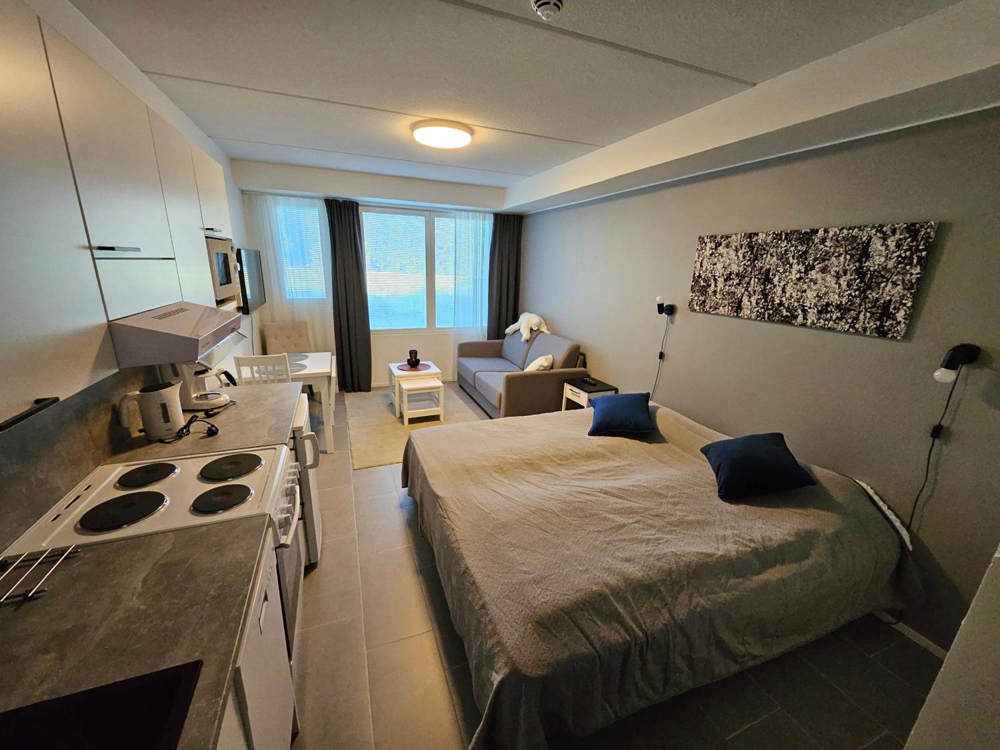 Levillenet Studio Apartment At Levi City Centre Екстер'єр фото